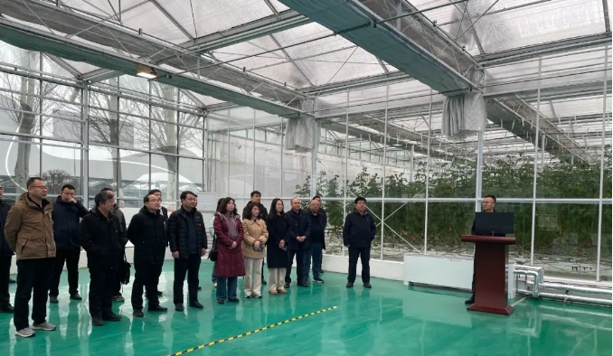 种植业高质量发展临时党支部开展“科技赋能助力设施农业”联合主题党日活动