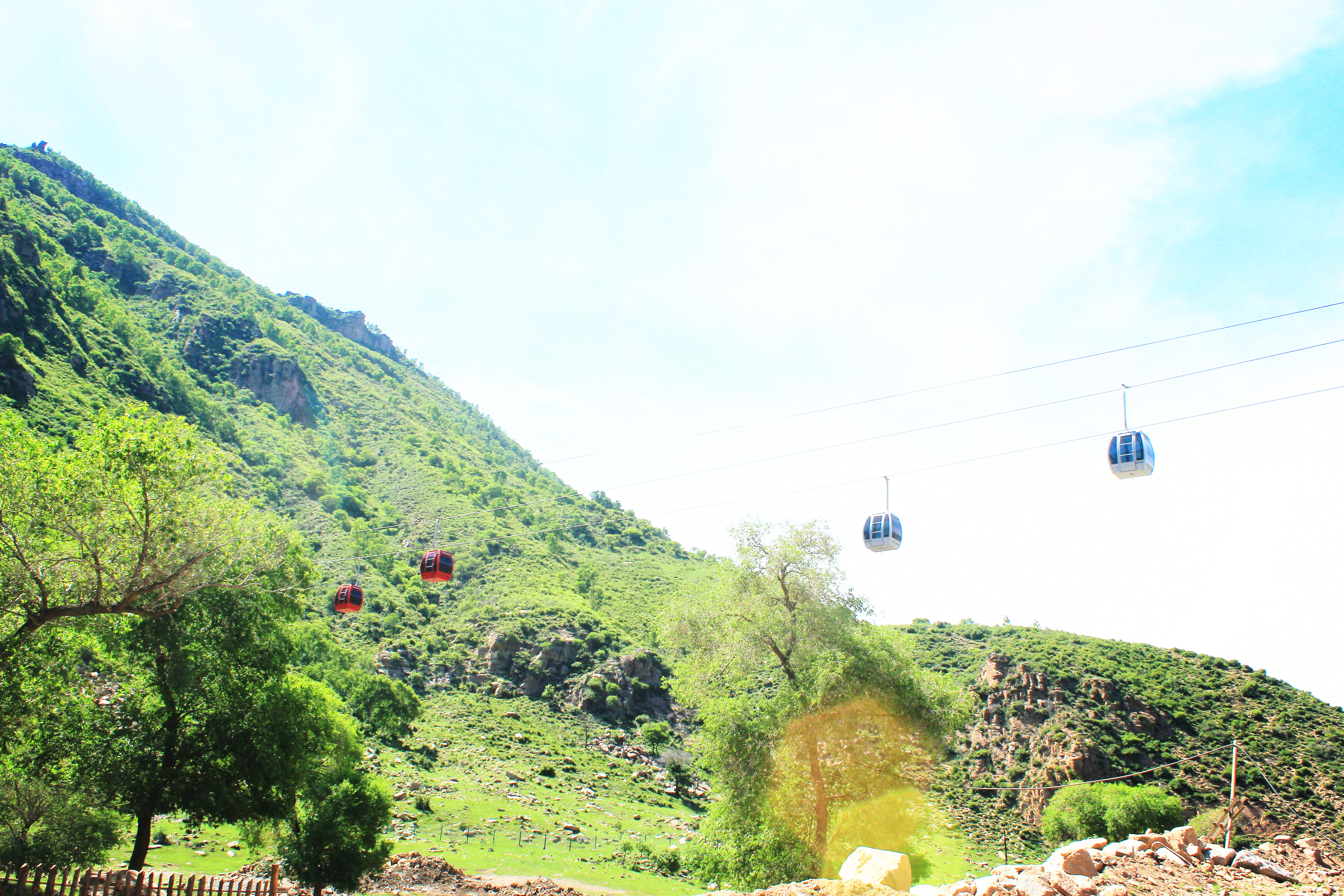 九龙湾生态旅游区
